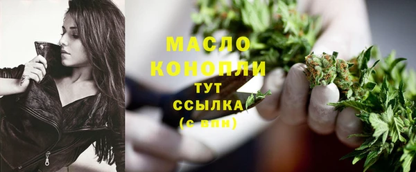 твердый Бородино