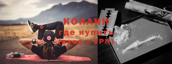 твердый Бородино