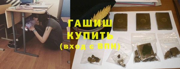 твердый Бородино
