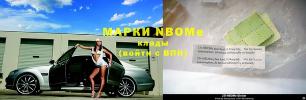 твердый Бородино