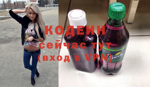 твердый Бородино