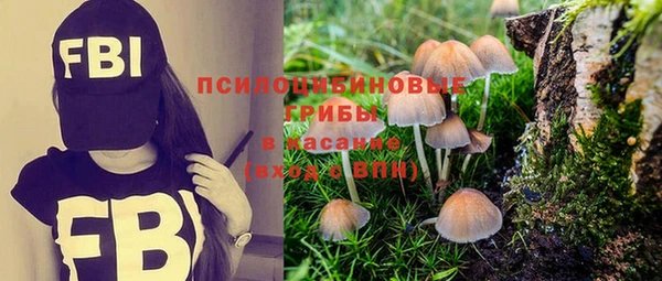 твердый Бородино