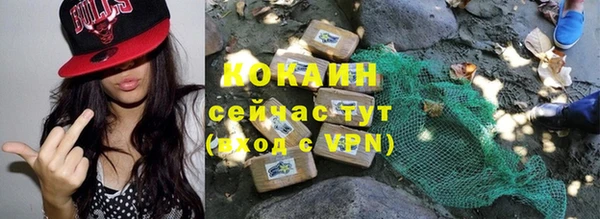 твердый Бородино