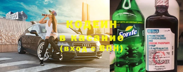 твердый Бородино