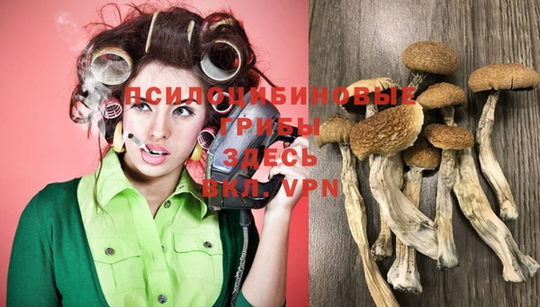 бутират Бронницы