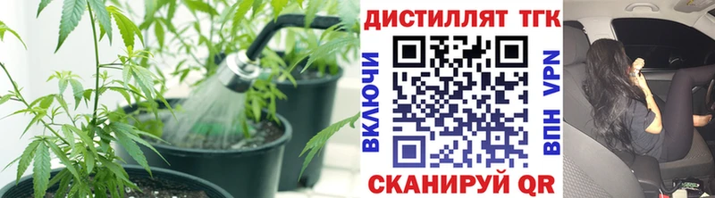 Дистиллят ТГК вейп с тгк  darknet телеграм  Невельск  закладки 