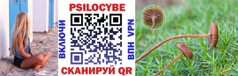 Галлюциногенные грибы мухоморы  наркошоп  Невельск 